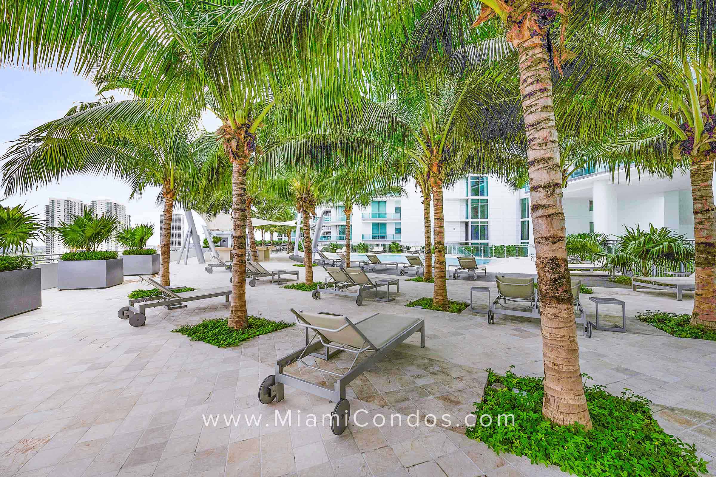 900 Biscayne Bay Pool Lounge and Hammock Garden
