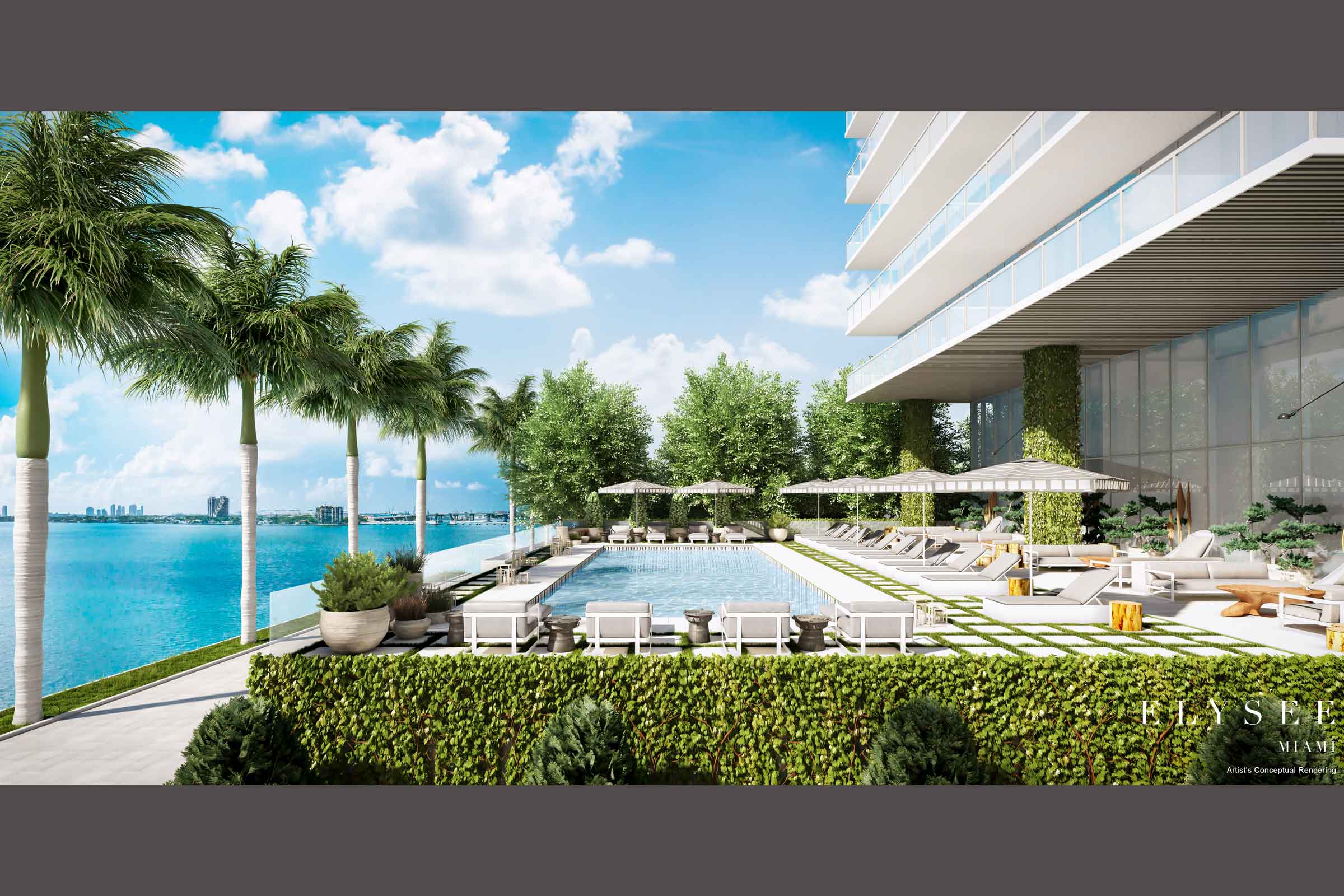 Elysee Condos Pool Rendering