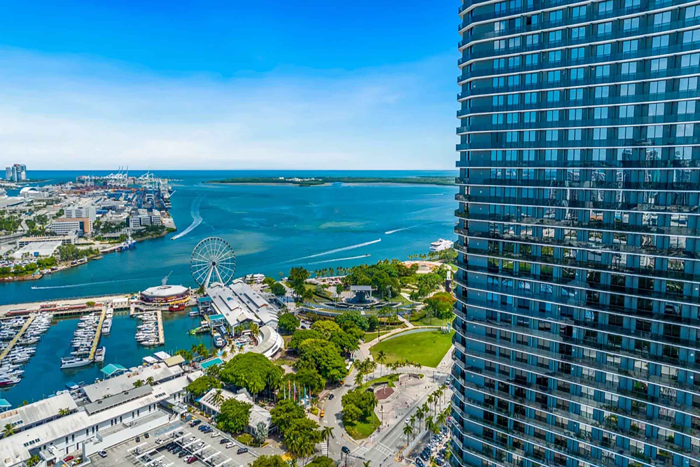 The Elser Hotel Downtown Miami View